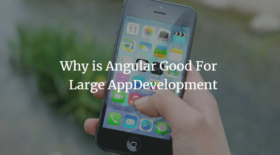 Large App Development