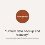 Recovery for Critical Data