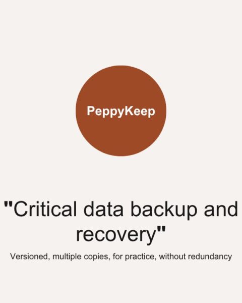 Recovery for Critical Data